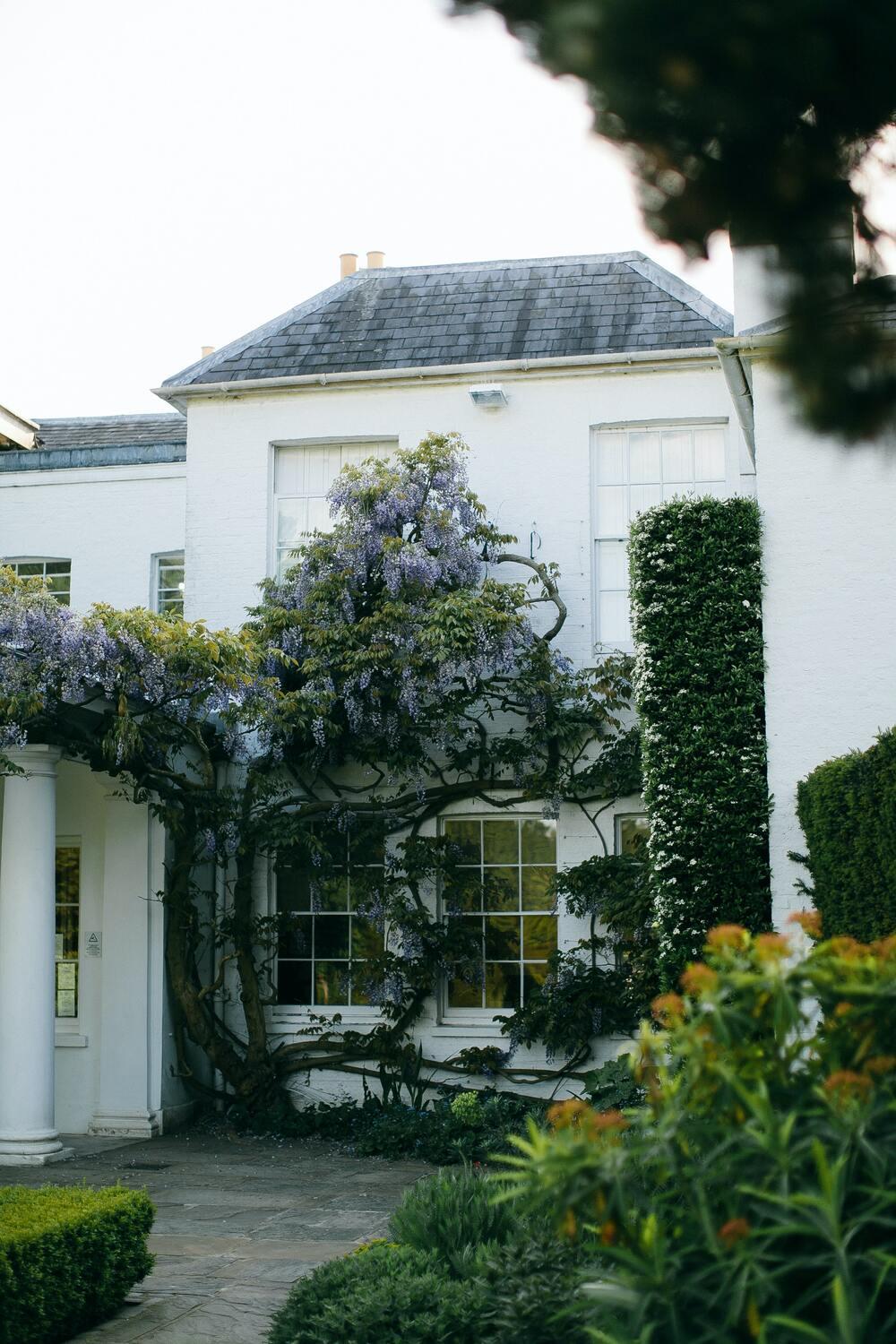 House with plants